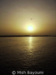 Sunset over Marmar island in the Farasan Banks.  by Mish Bayoumi 
